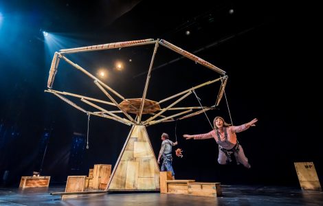 que disparate_sala_arneses